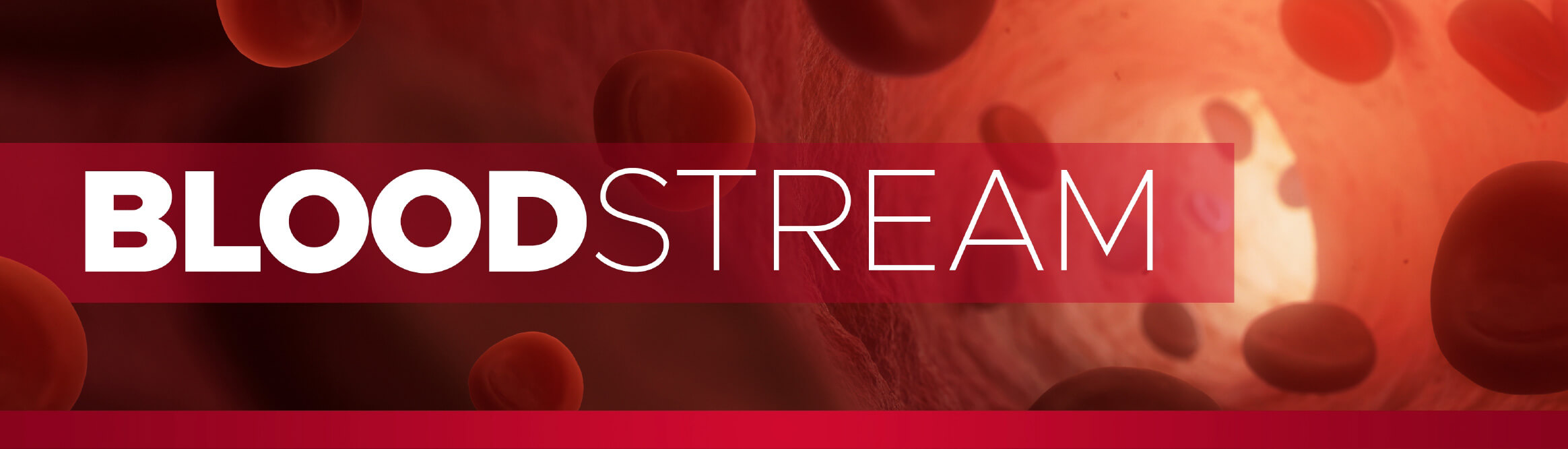 Blood Stream